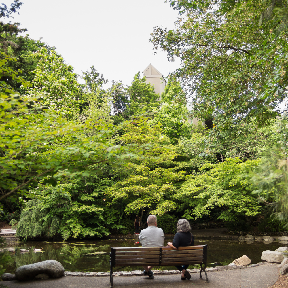 Couple sitting on a bench overlooking a pond in Lithia Park in Ashland, Oregon.